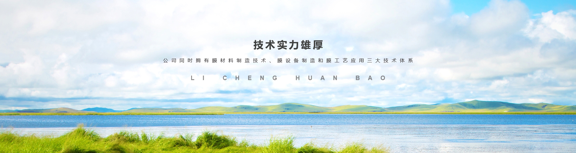 河南力誠環(huán)保科技有限公司